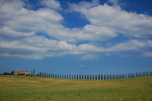 Val d'Orcia countryside 10