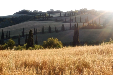 Val d'Orcia countryside 21.1